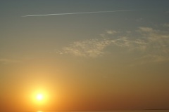 SONY DSC