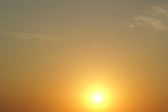 SONY DSC