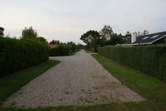 SONY DSC