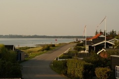 SONY DSC