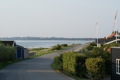 SONY DSC