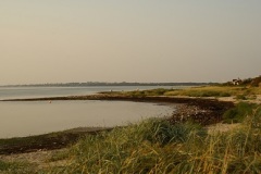 SONY DSC