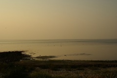 SONY DSC