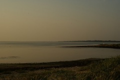 SONY DSC