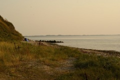 SONY DSC