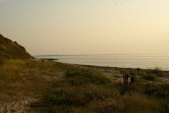 SONY DSC