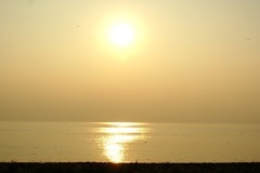 SONY DSC