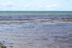 SONY DSC