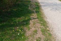 image004