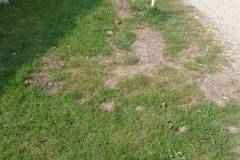 image018