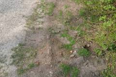 image028