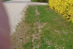 image030