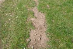 image034