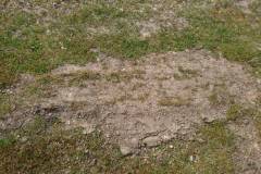 image042